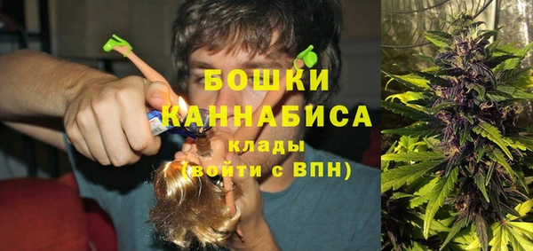 таблы Новозыбков